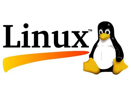 How to run Linux and Windows on Android?